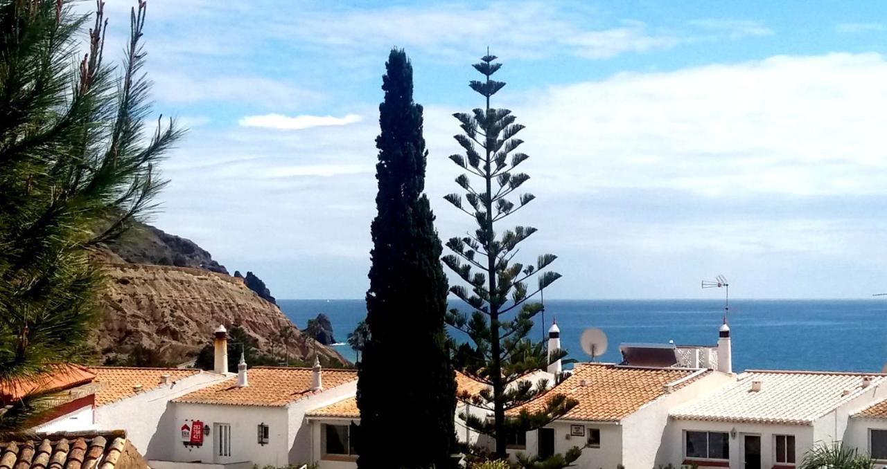 Queen Palm Luz Kültér fotó