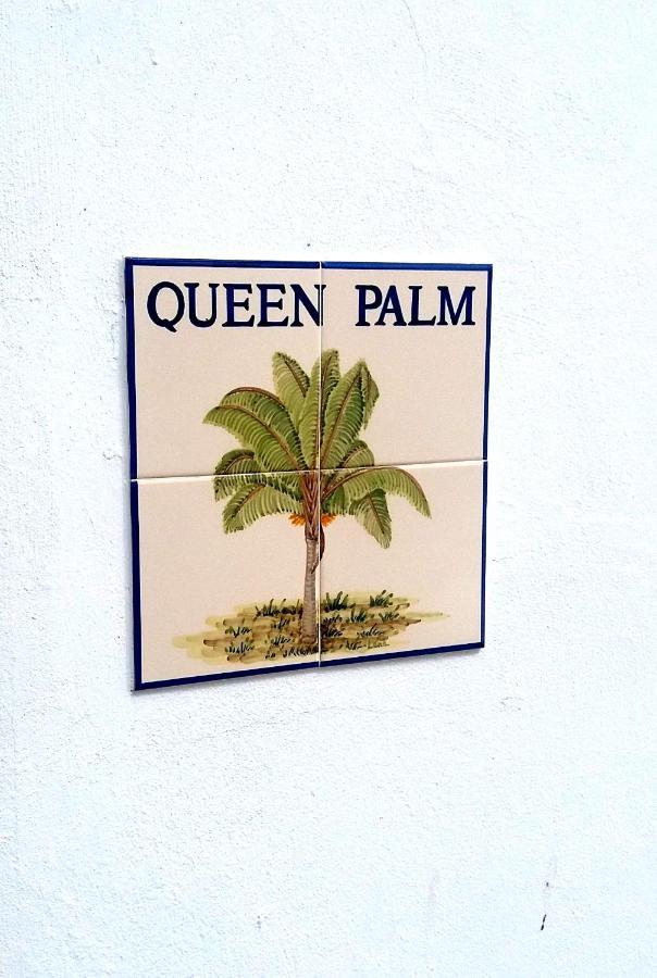 Queen Palm Luz Kültér fotó